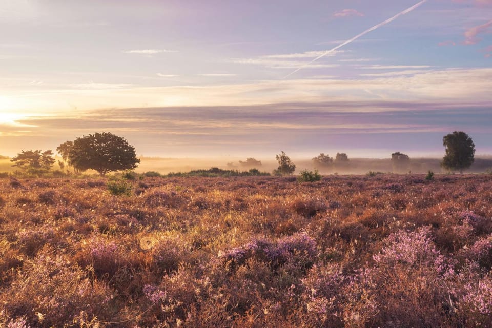 Natural landscape, Sunset