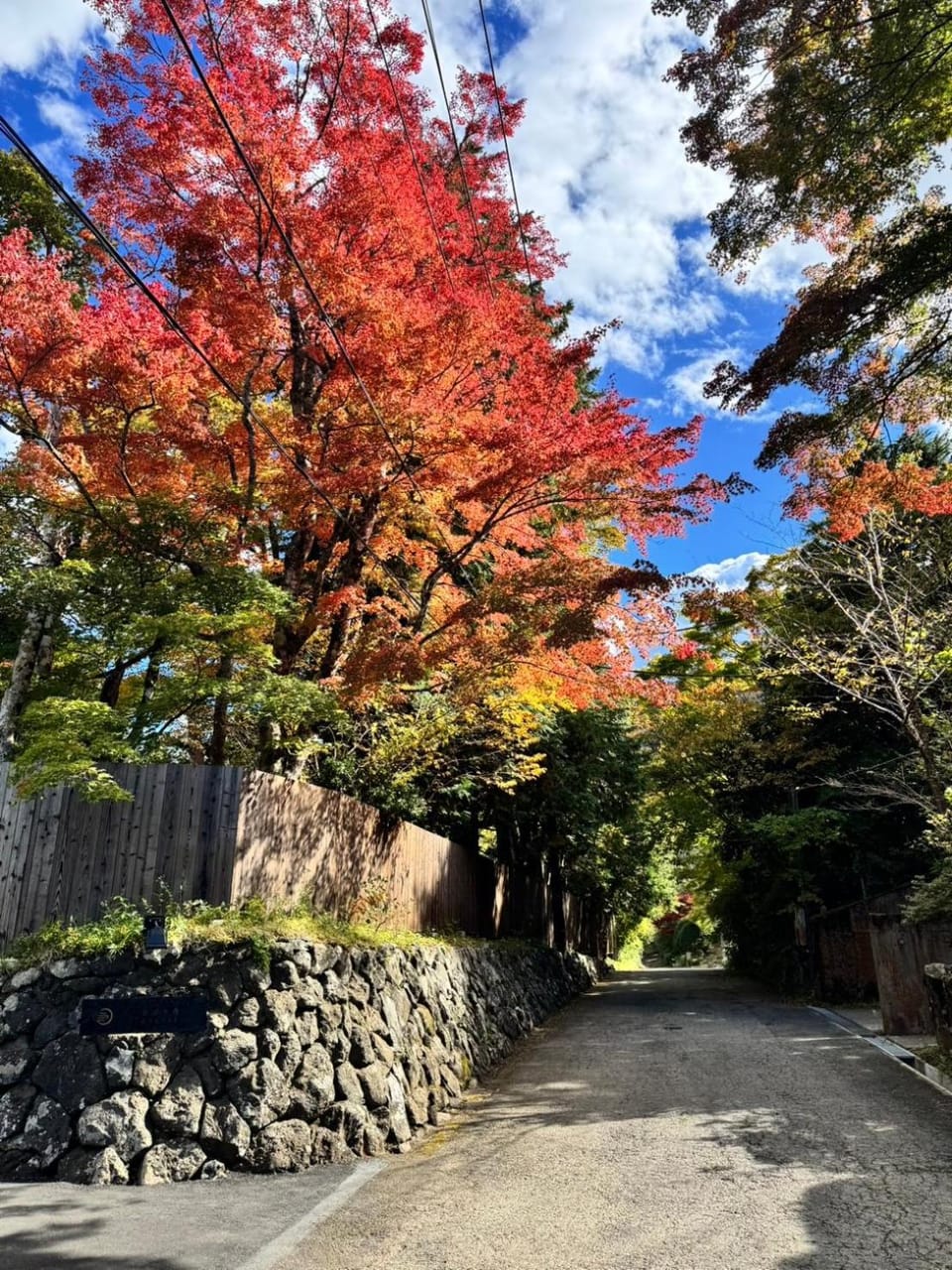 Property building, Natural landscape, Autumn