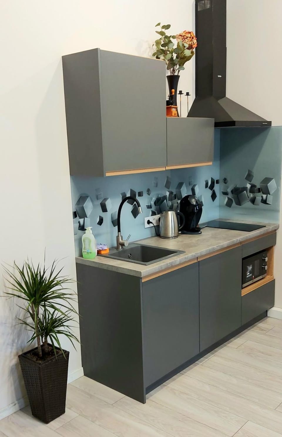 Kitchen or kitchenette