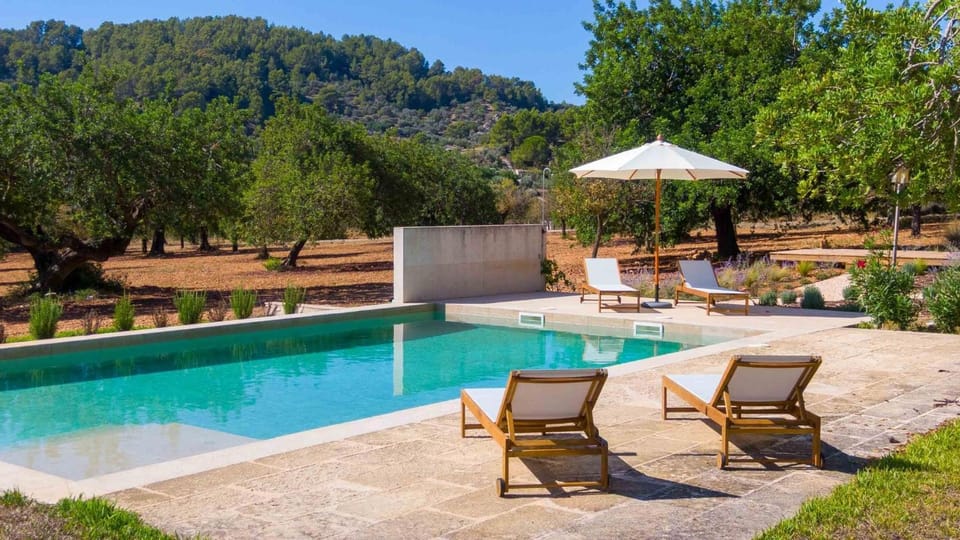 Garden, Pool view, Swimming pool