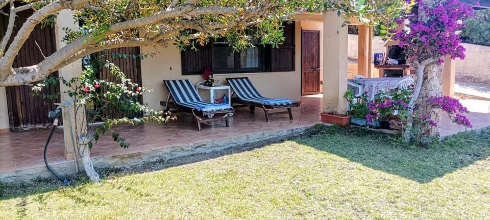 Property building, Garden view
