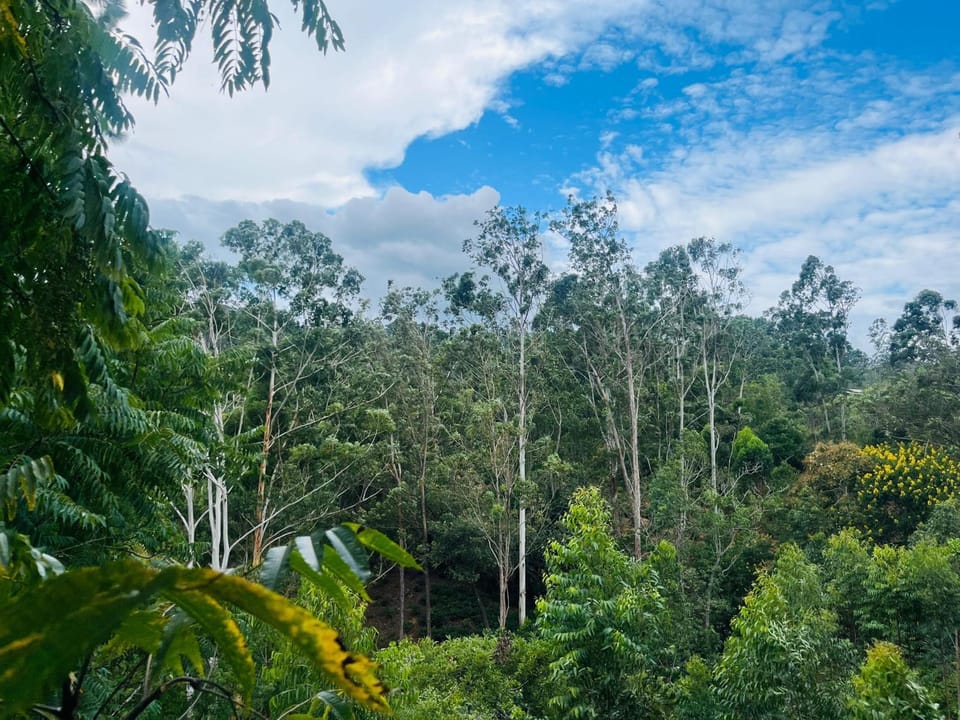 Day, Natural landscape