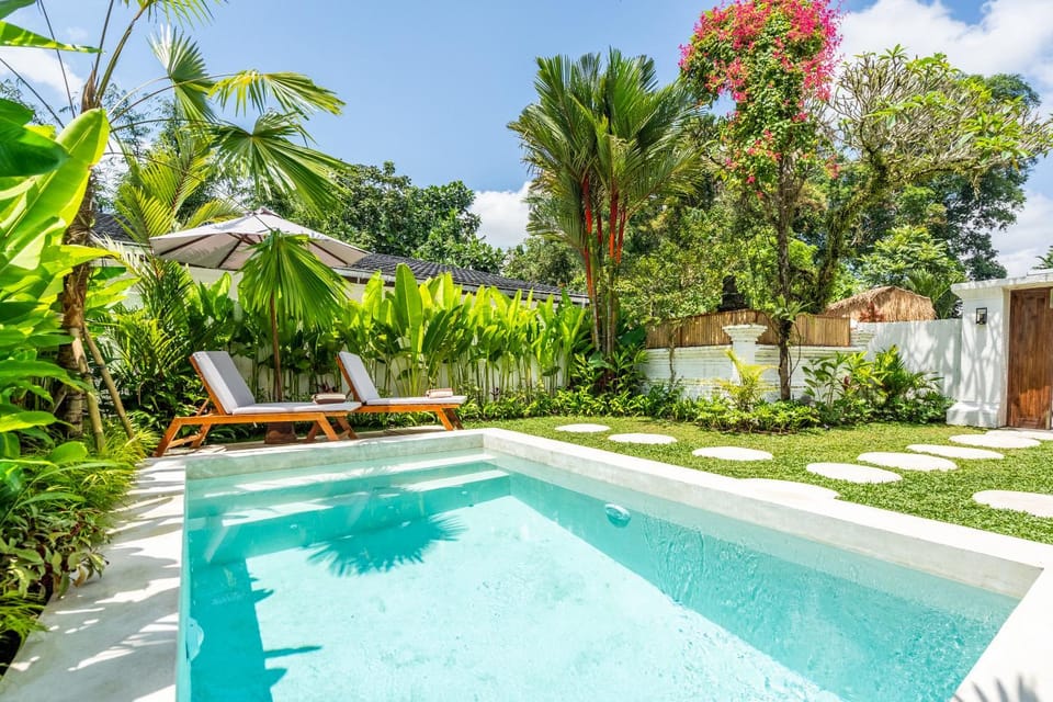 Garden, Garden, Swimming pool, Swimming pool, sunbed