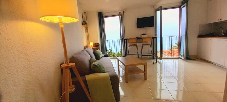 TV and multimedia, View (from property/room), Balcony/Terrace, Kitchen or kitchenette, Living room, Photo of the whole room, Decorative detail, Seating area, Dining area, Sea view, furniture, internet, air conditioner