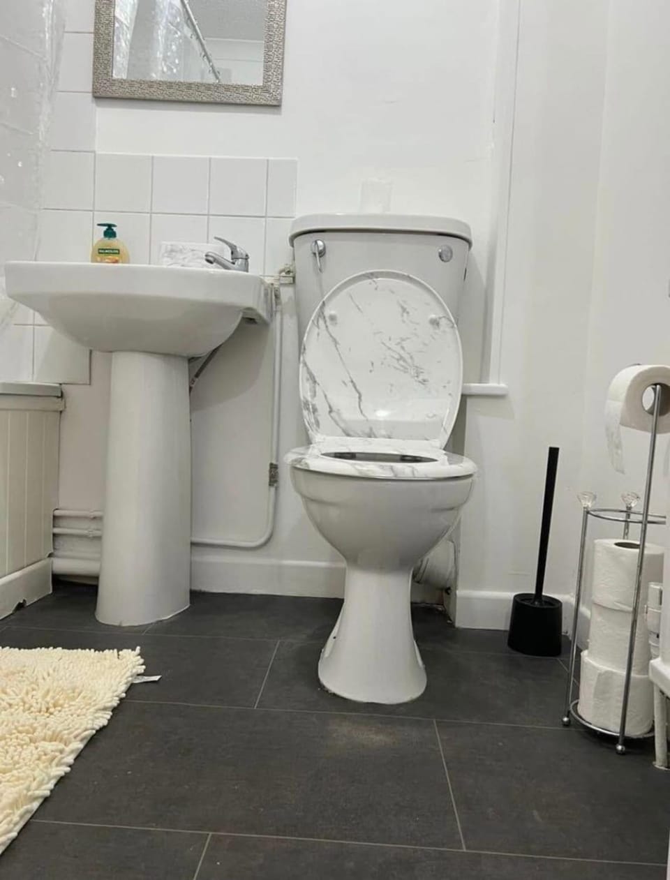 Toilet