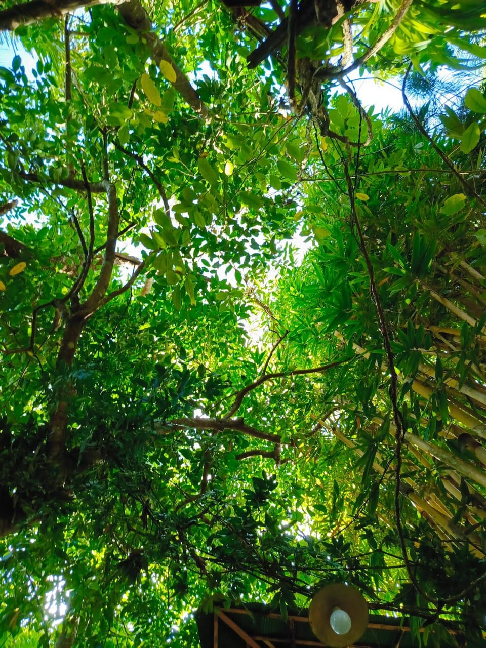 Cosmic Power Homestay & Cooking Class Vacation rental in Southern Province
