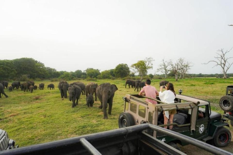 Day, People, Natural landscape, Animals, group of guests
