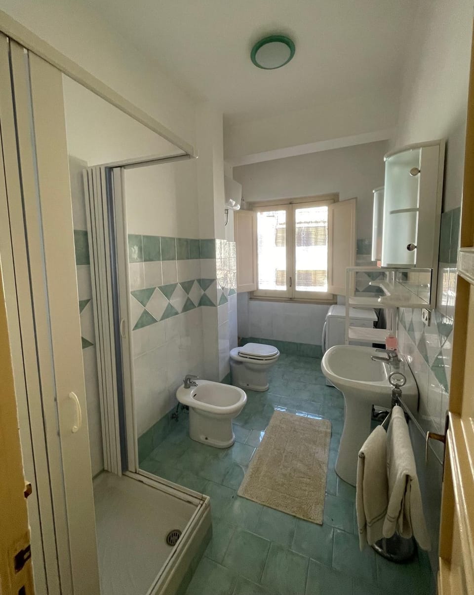 Shower, Toilet, towels