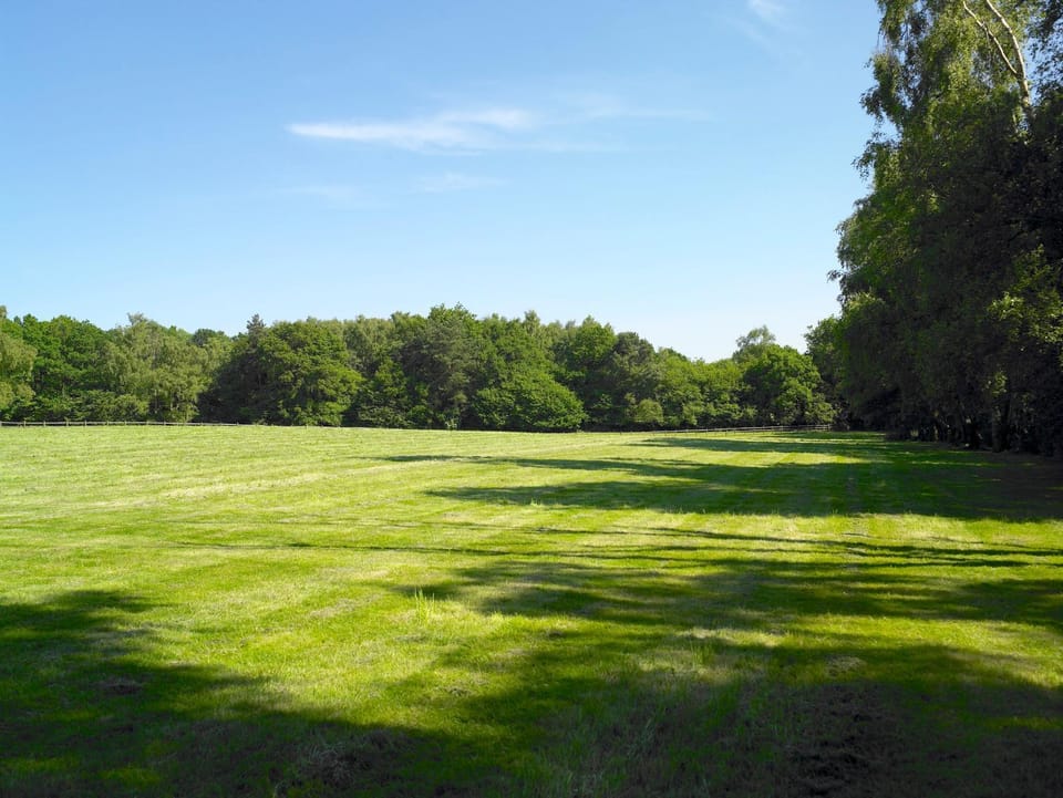 Natural landscape, Garden, Garden, Garden view