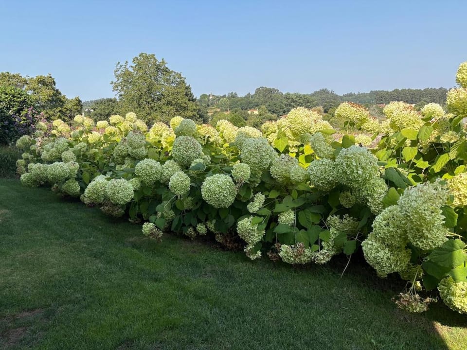 Spring, Natural landscape, Garden, Garden