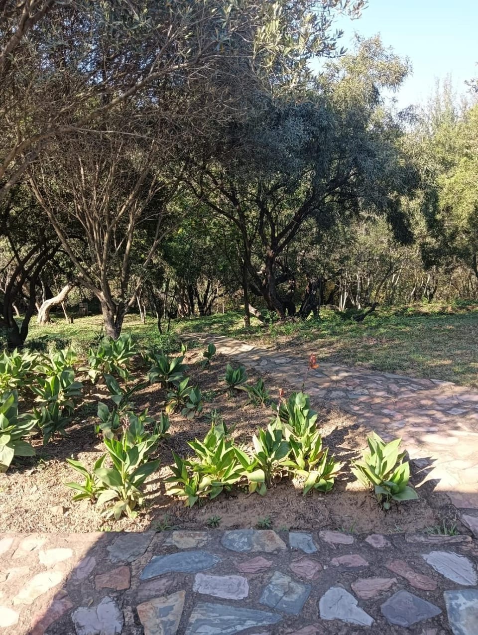 Tersus Riverbend Lodge Bed and Breakfast in Gauteng