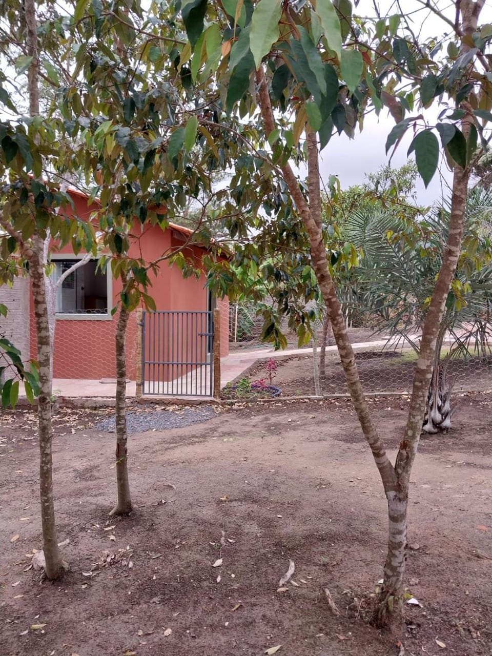 Recanto dos cardeais micro House in State of Bahia