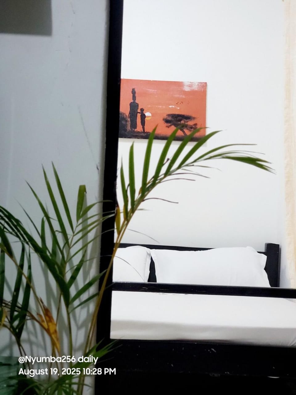Tropical House Rainforest charm cosy comfort Apartment in Uganda