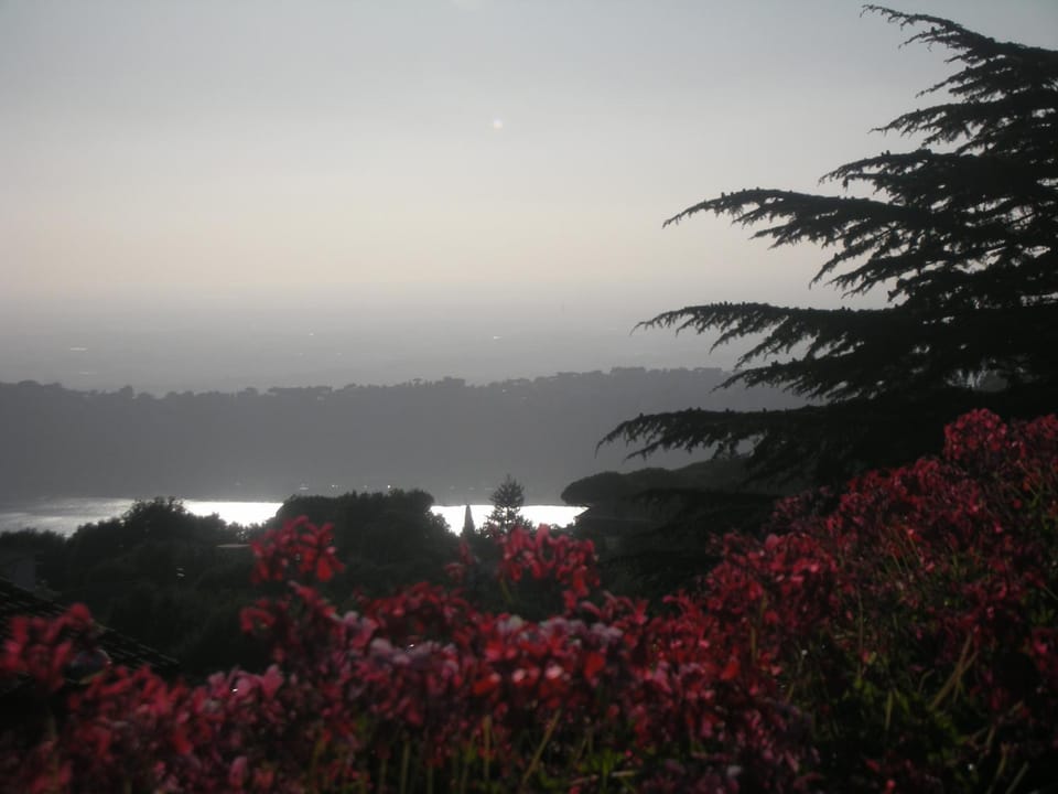 Lake view