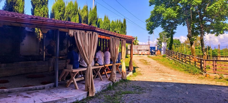 Mtrediani Wine Lodge Nature lodge in Adjara, Georgia