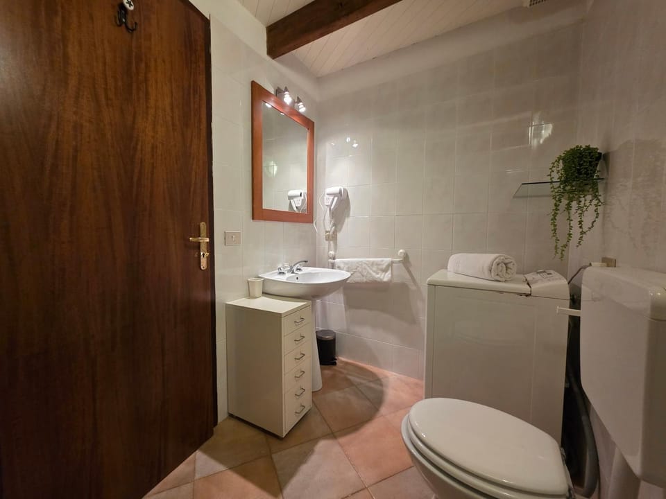 Toilet, Bathroom, towels