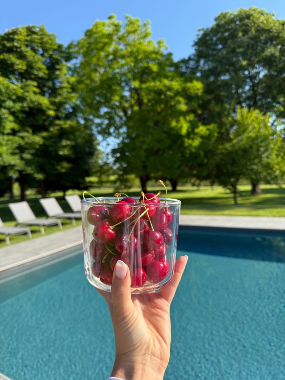 Agriturismo Il Ceraseto da Tomasi Bed and Breakfast in Friuli-Venezia Giulia
