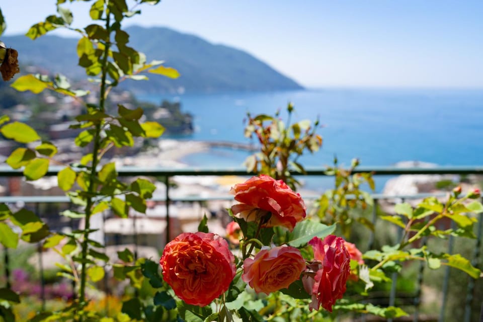 Natural landscape, Sea view