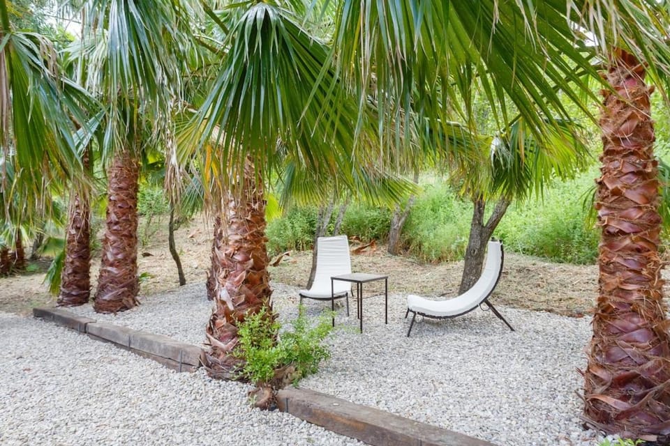 Molino Naranjo House in La Janda