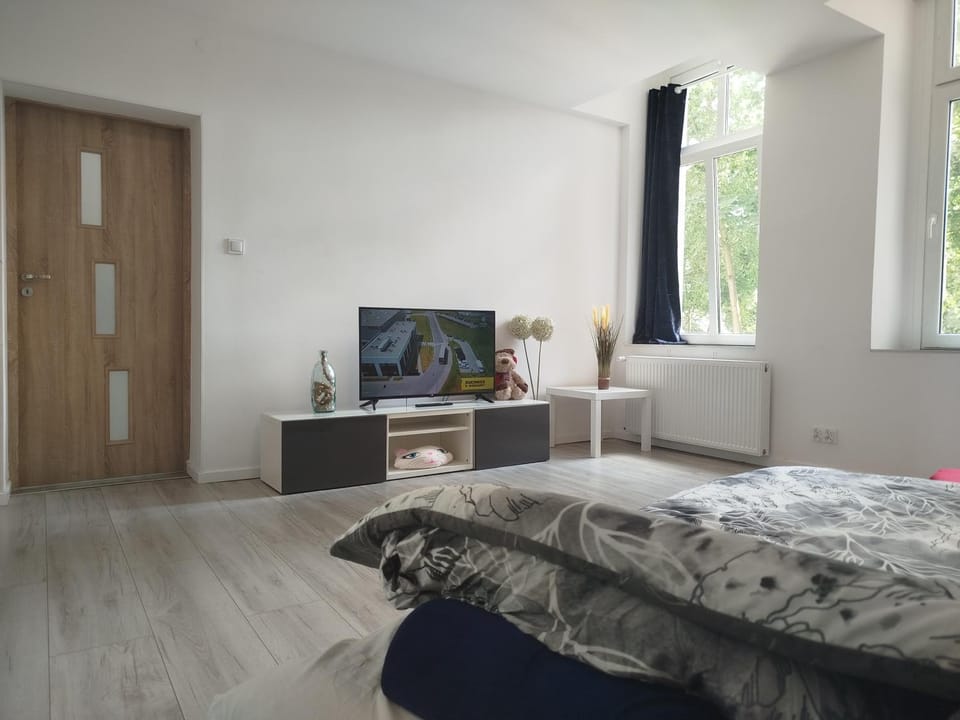Grudziadz City Center A2-Apartamenty 54m WiFi Apartment in Poland