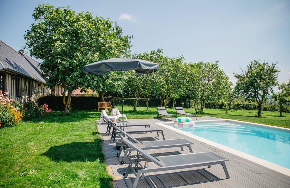 Garden, Garden, Swimming pool, Swimming pool