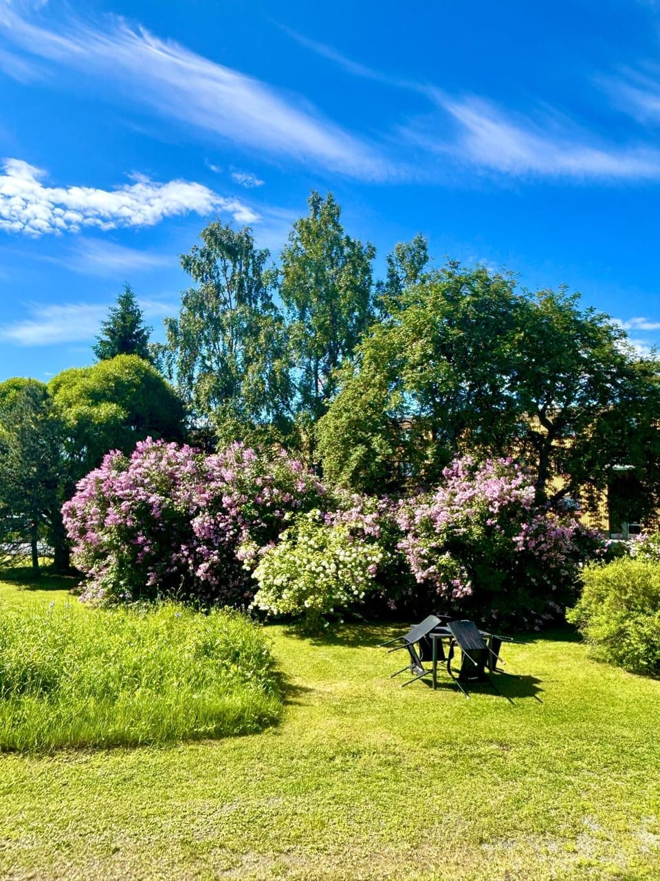 Natural landscape, Summer, Garden