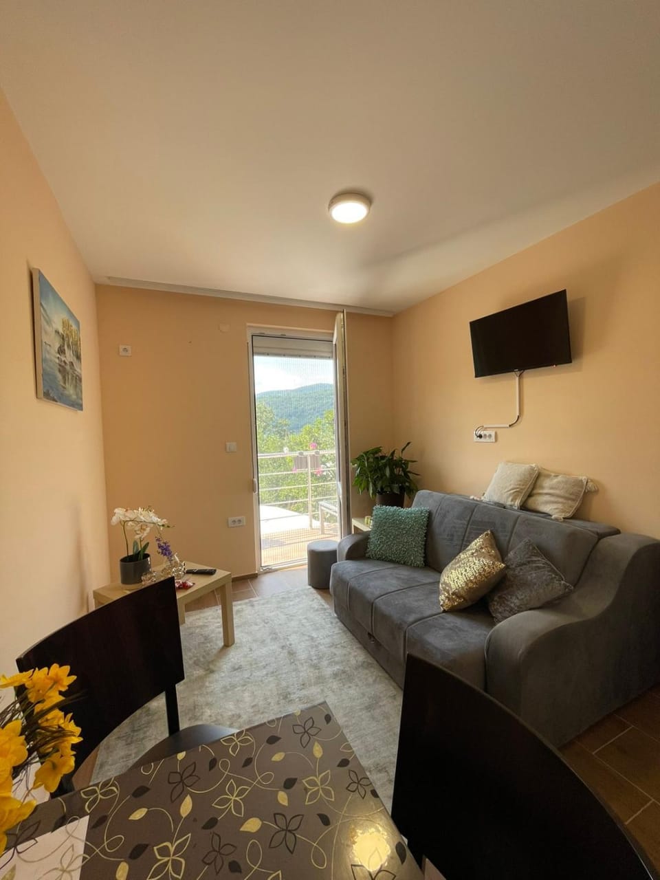 Apartman Petko Apartment in Zlatibor District, Serbia