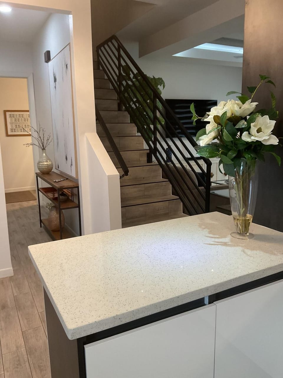 Brand New Home Apartment in Mission