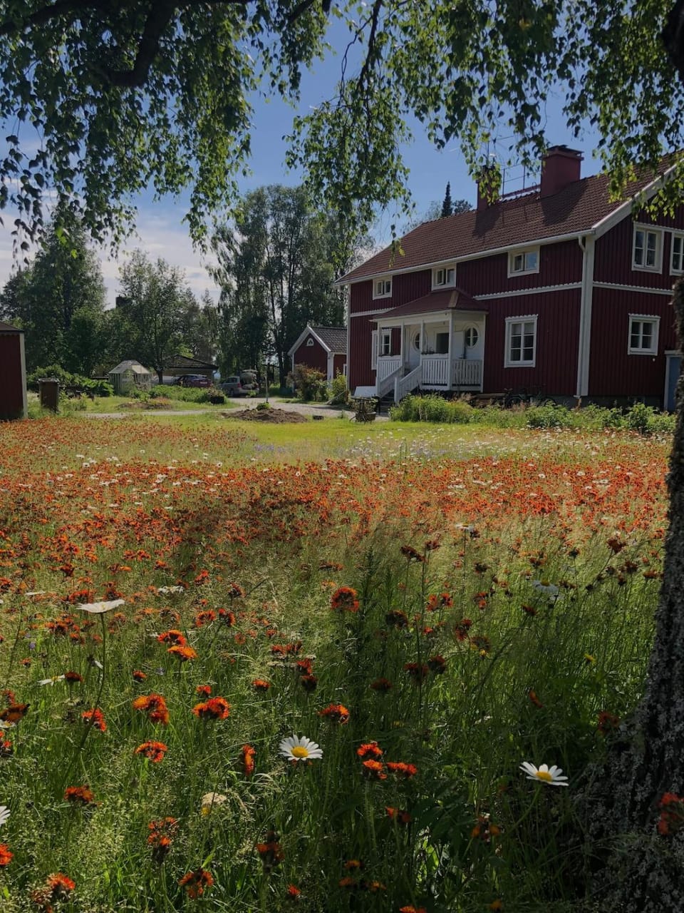 Property building, Spring, Garden