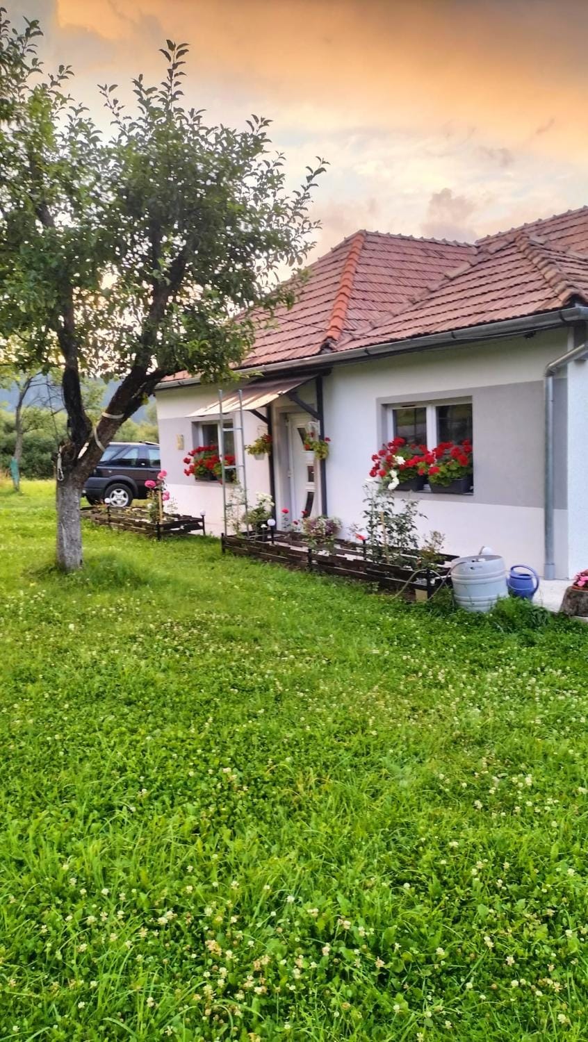 Casuta Alba House in Romania