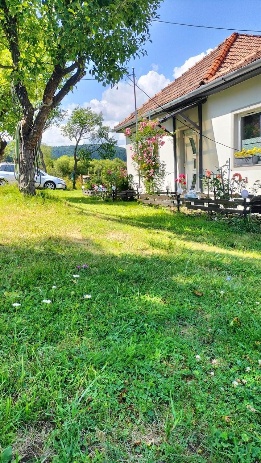 Casuta Alba House in Romania