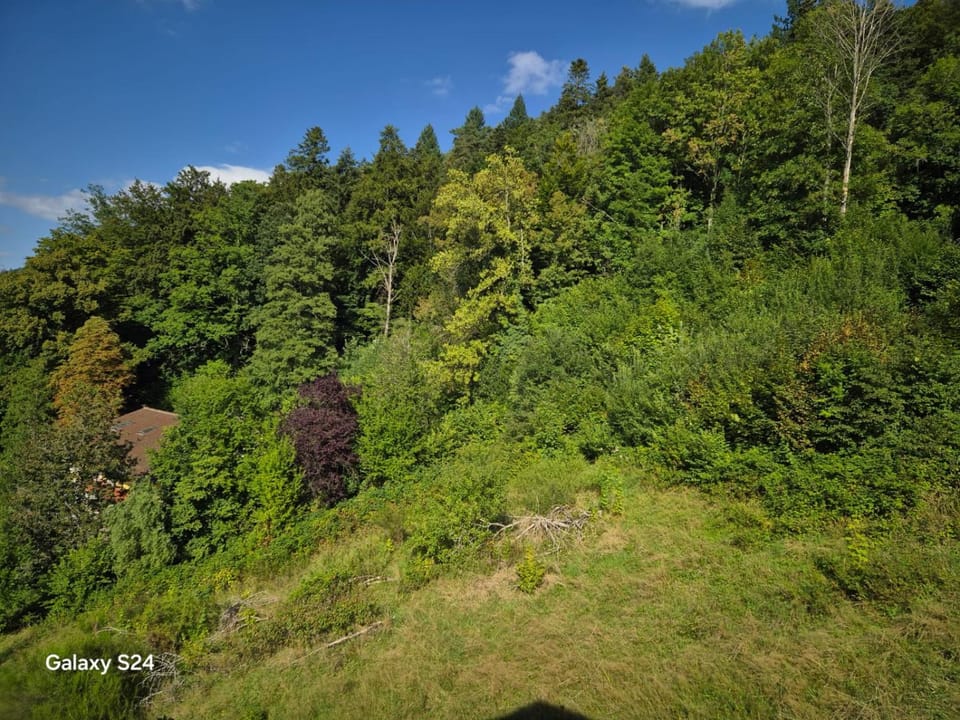Natural landscape