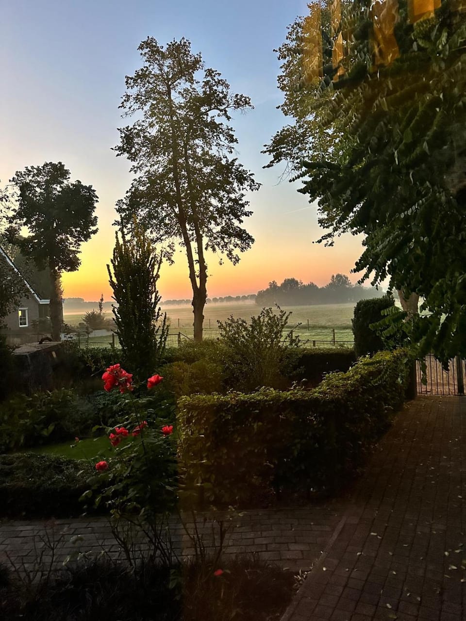 On site, Sunrise