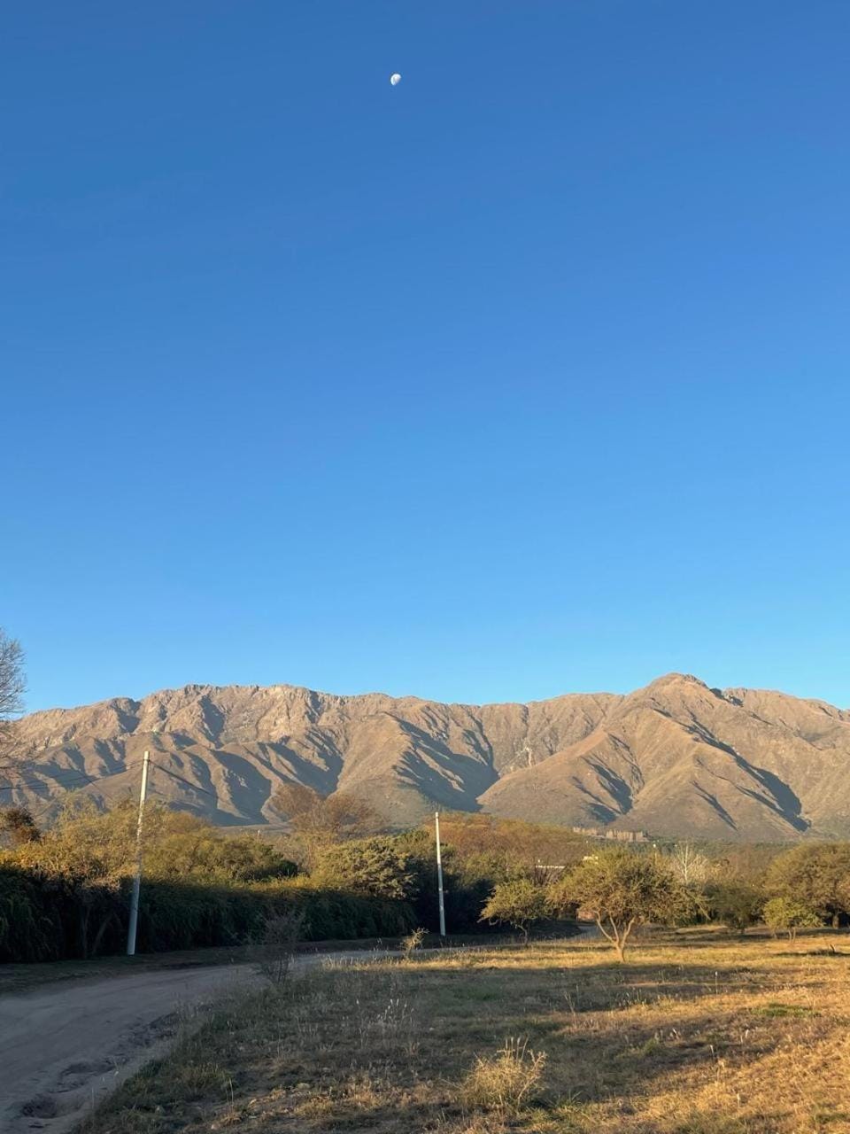 Garden, Mountain view