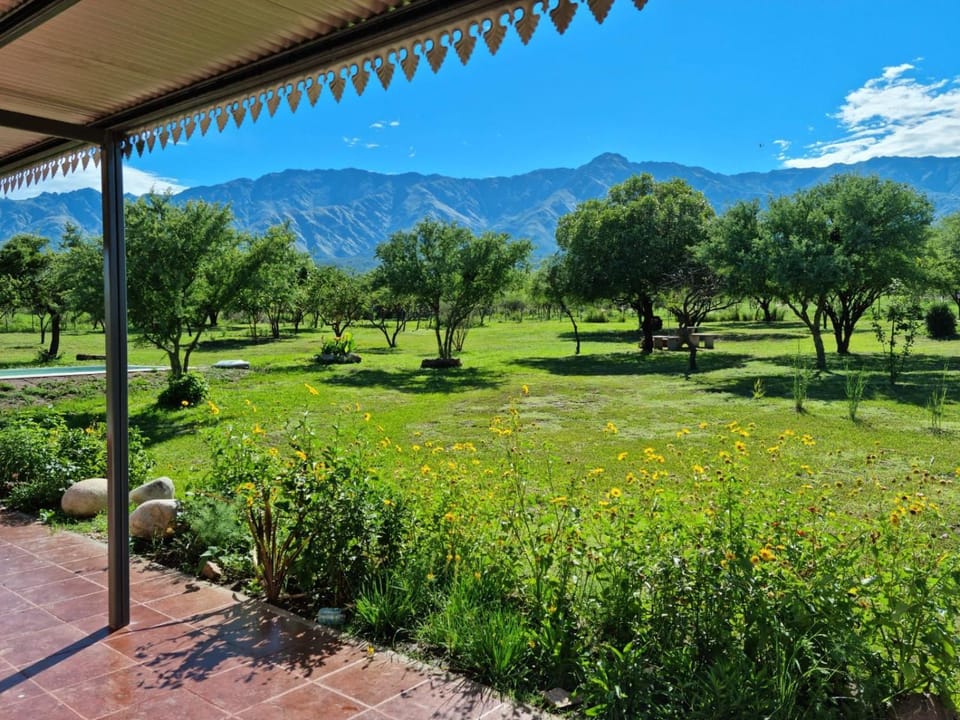 Garden, Garden, Mountain view
