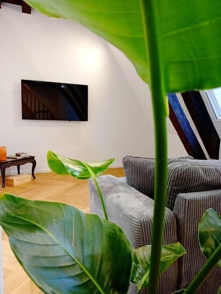 Lemullier de Bressey - Hôtel particulier au coeur de Dijon Apartment in Dijon