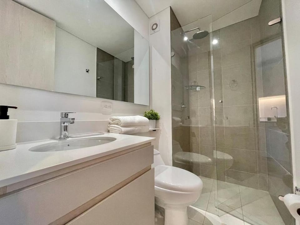 Shower, Toilet, Bathroom, towels