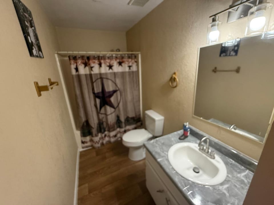 Shower, Toilet, Bathroom, Bath