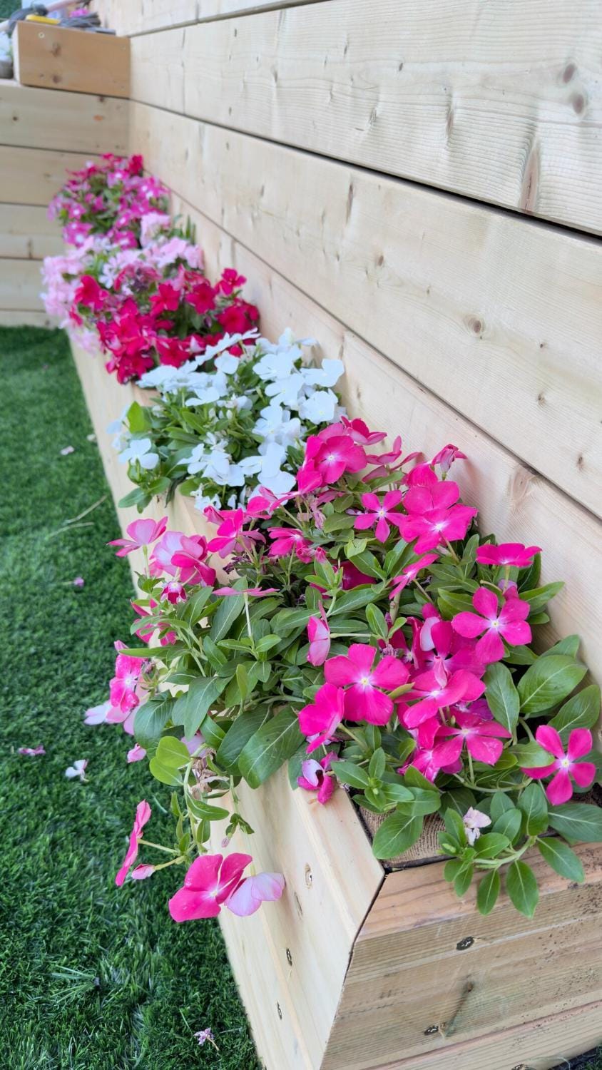 Spring, Day, Garden, Garden view