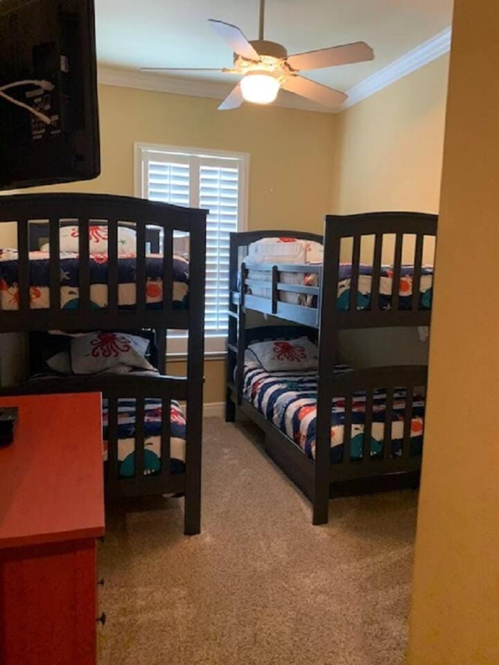Bedroom, bunk bed