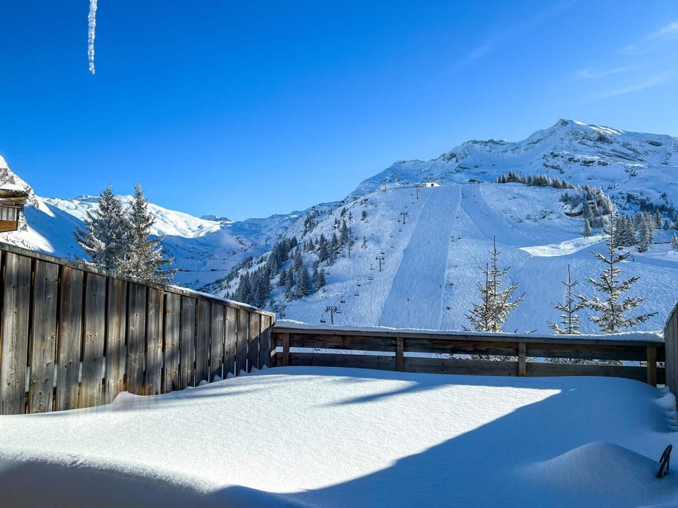 Chalet Babayaga, 7 pièces, 12 pers, accès skis aux pieds - FR-1-314-306 Chalet in Avoriaz