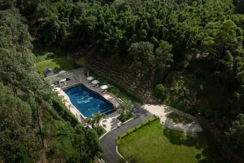 Natural landscape, Garden, Pool view, Swimming pool