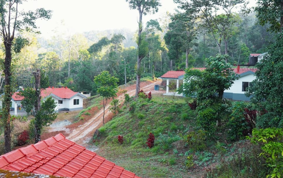 Property building, Natural landscape