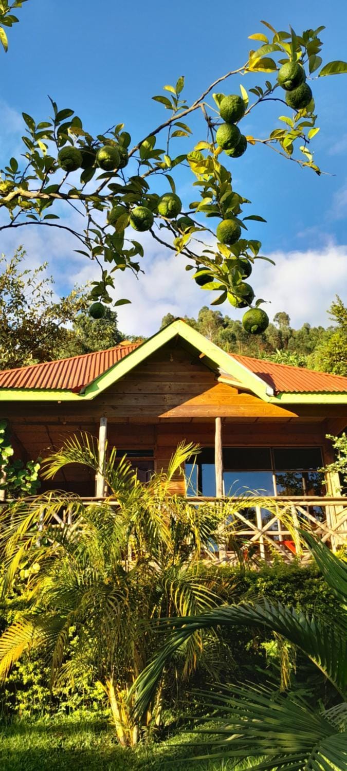 One love archive Hostel in Uganda