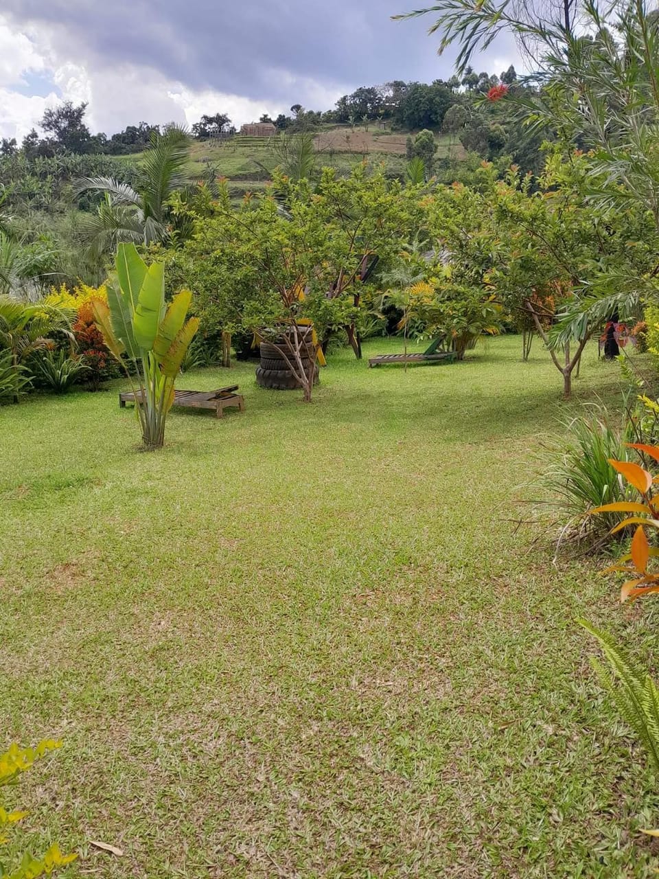 One love archive Hostel in Uganda