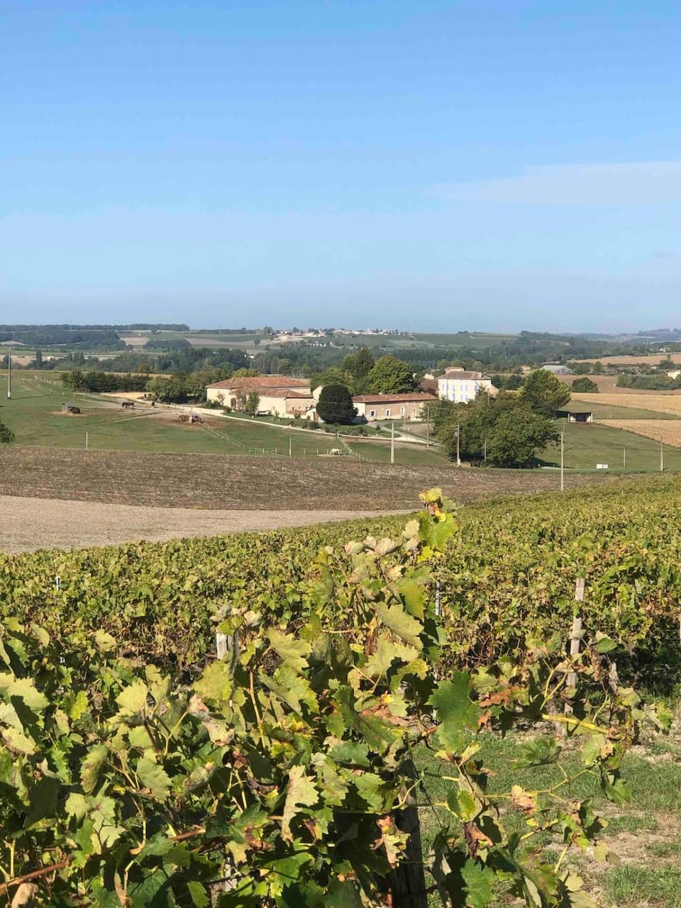 Small country house House in Nouvelle-Aquitaine
