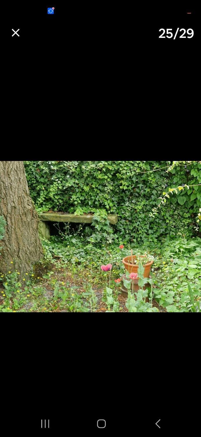 Parkhouse farm caravan Campground/ 
RV Resort in England