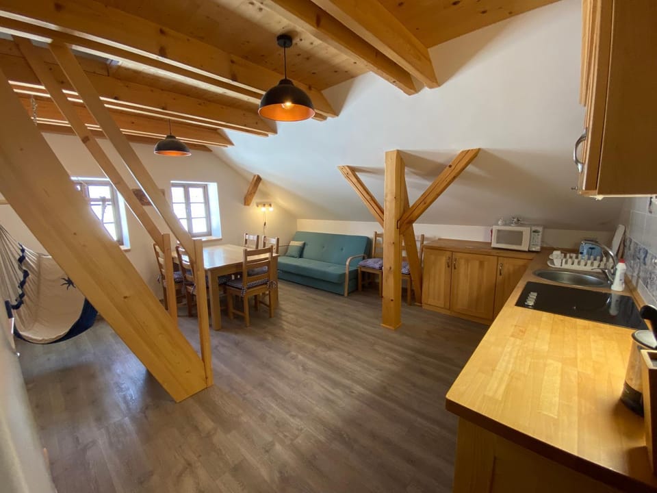 Kitchen or kitchenette, Dining area