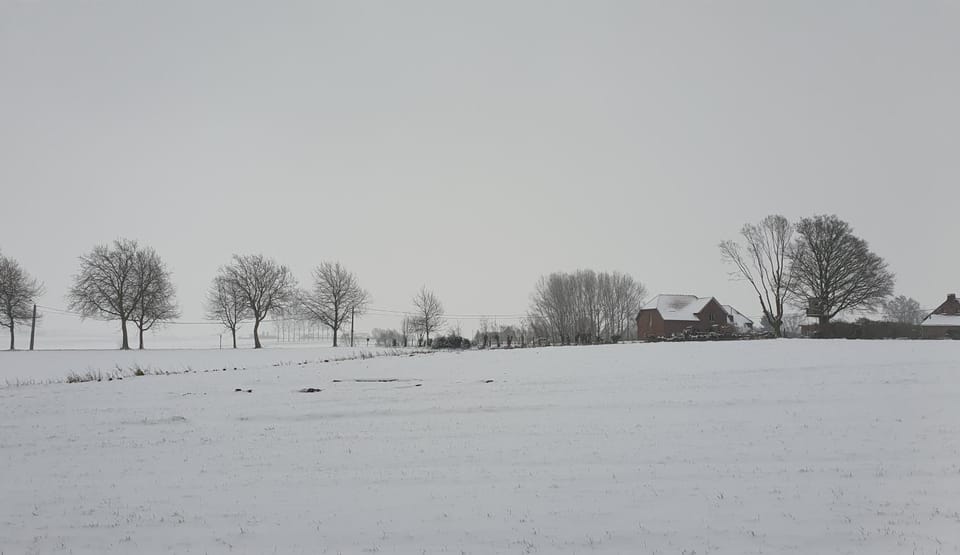 Winter