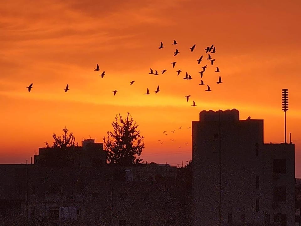 Sunset